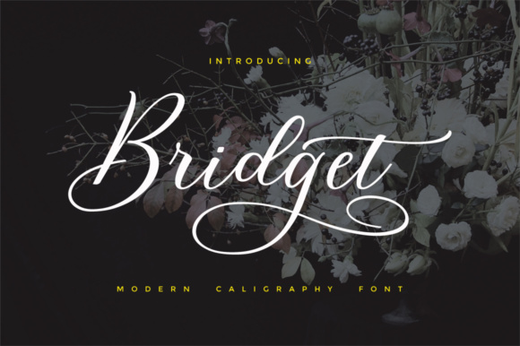 Bridget Script: A Modern Script Font for Campaign Headlines
