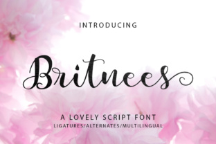 Britnees Script: A Modern Handwritten Font for Campaign Visuals