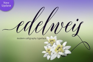 Edelweis: The Elegant Script Font for Your Brand’s Visual Identity