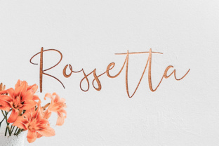 How Rossetta Helped My Bakery Look More Professional