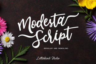 Modesta Script: The Font That Elevates Your Campaigns