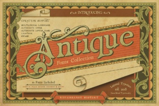 Renaissance Garden: A Serif Font for Timeless Campaigns