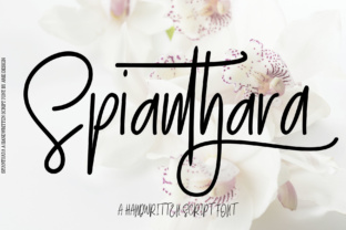 Spianthara Script: A Modern Script Font for Elegance and Versatility