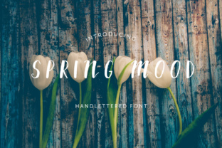 Spring Mood: A Font That Elevates Your Brand